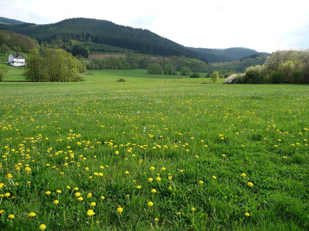 Landhaus Lenneper-Führt Kirchhundem Exterior foto